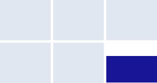 Typing a country name into the Flagle guess input field